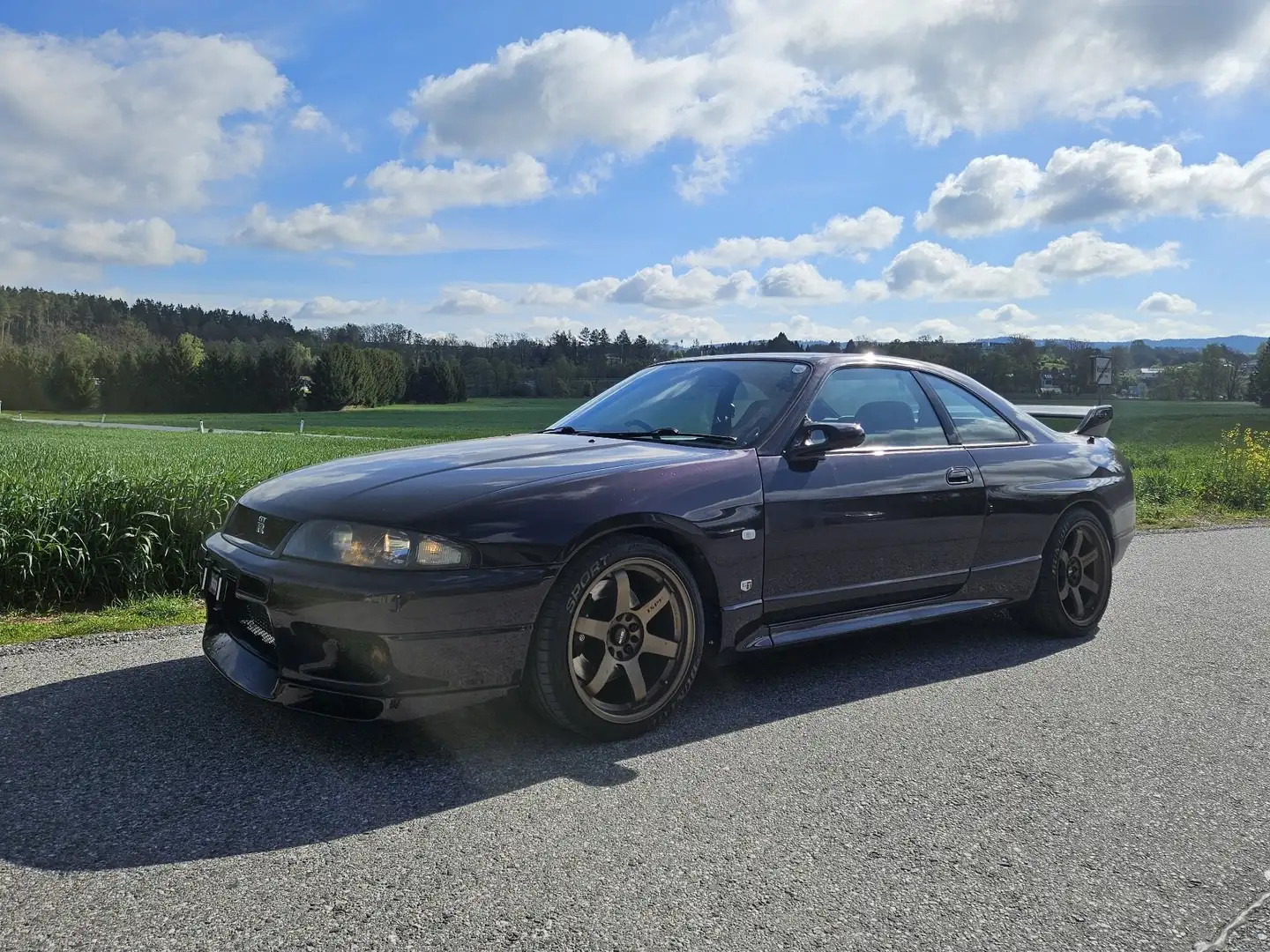 Nissan Skyline R33 GTR V-Spec Fialová - 1