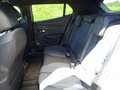 Peugeot 2008 ALLURE Hybrid 145 e-DCS6 Grigio - thumbnail 12