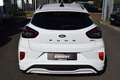 Ford Puma ST-Line1.0l 92kW/125PS Allwetter,Winter-Pak Blanc - thumbnail 4