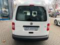 Volkswagen Caddy Kasten/EcoProfi/KLIMA/Schiebetür Weiß - thumbnail 5
