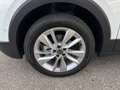Volkswagen T-Cross Friends TSI DSG Weiß - thumbnail 15