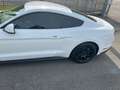 Ford Mustang GARANZIA FORD 2026 UFFICIALE ITALIANA Bianco - thumbnail 4