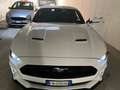 Ford Mustang GARANZIA FORD 2026 UFFICIALE ITALIANA Bianco - thumbnail 5