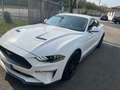 Ford Mustang GARANZIA FORD 2026 UFFICIALE ITALIANA Bianco - thumbnail 1