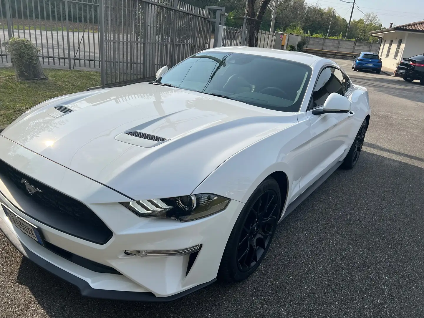 Ford Mustang GARANZIA FORD 2026 UFFICIALE ITALIANA Bianco - 1