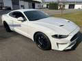 Ford Mustang GARANZIA FORD 2026 UFFICIALE ITALIANA Bianco - thumbnail 3