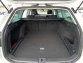 Volkswagen Passat Variant 2.0 TDI DSG BUSINESS PANORAMA+AHK Weiß - thumbnail 12