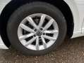 Volkswagen Passat Variant 2.0 TDI DSG BUSINESS PANORAMA+AHK Weiß - thumbnail 8
