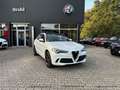 Alfa Romeo Stelvio Quadrifoglio Q4 Weiß - thumbnail 1
