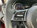 Kia XCeed Vision 1.0 T-GDI Sports Utility Vehicle. 74 kW. 5- Rot - thumbnail 21