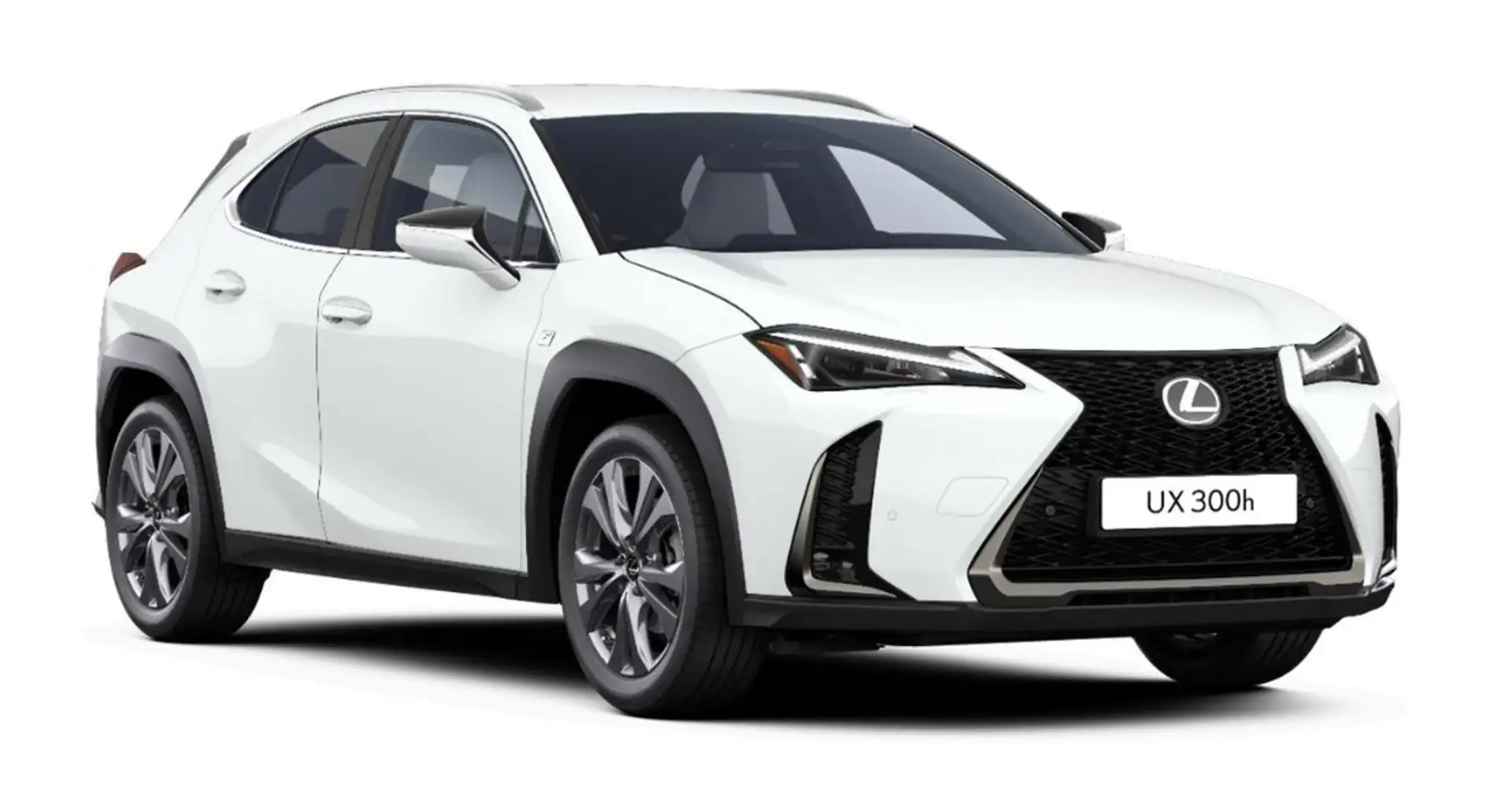 Lexus UX 300h F Sport Design Klima Kamera Sitzhzg Weiß - 1