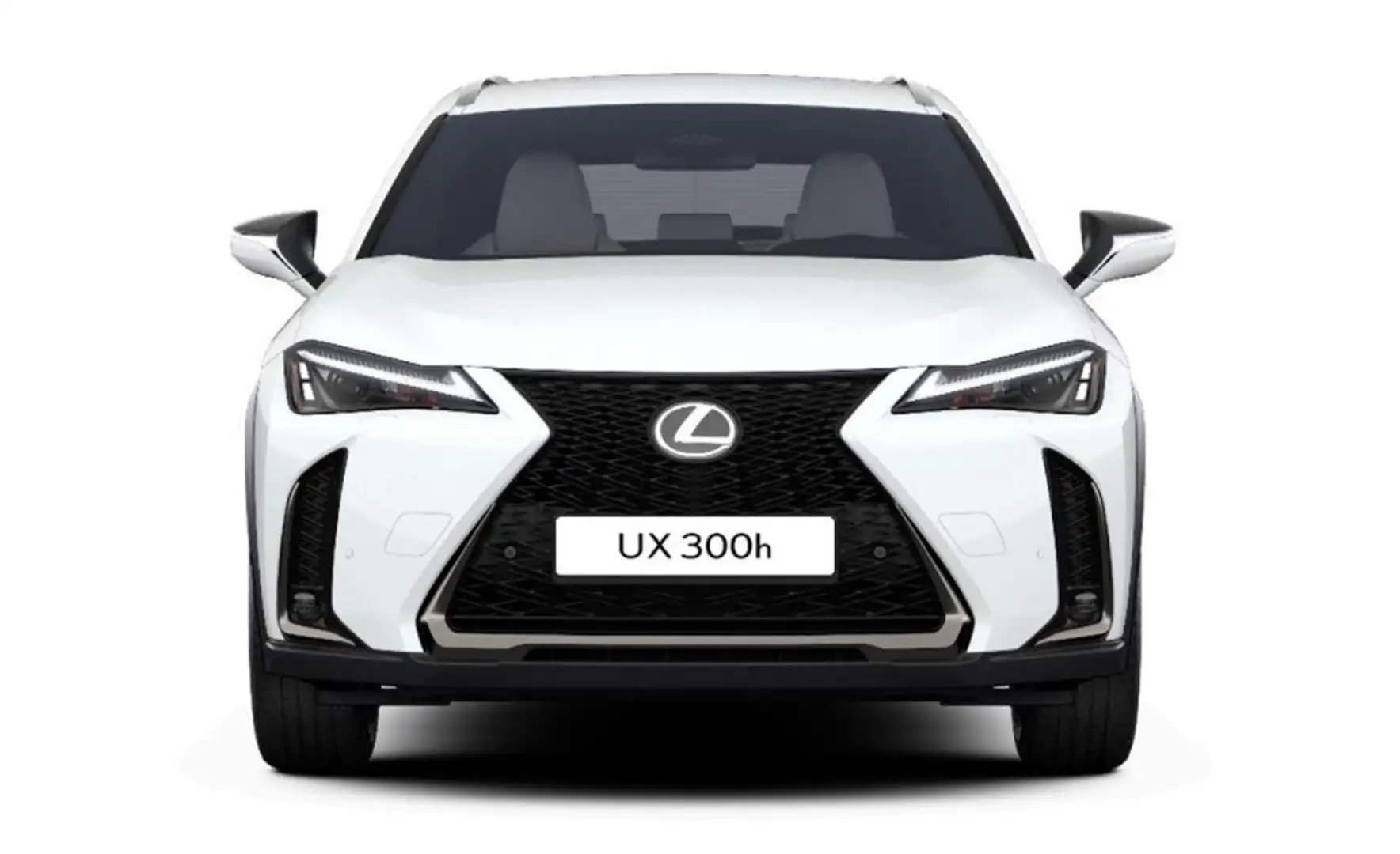 Lexus UX 300h F Sport Design Klima Kamera Sitzhzg Weiß - 2