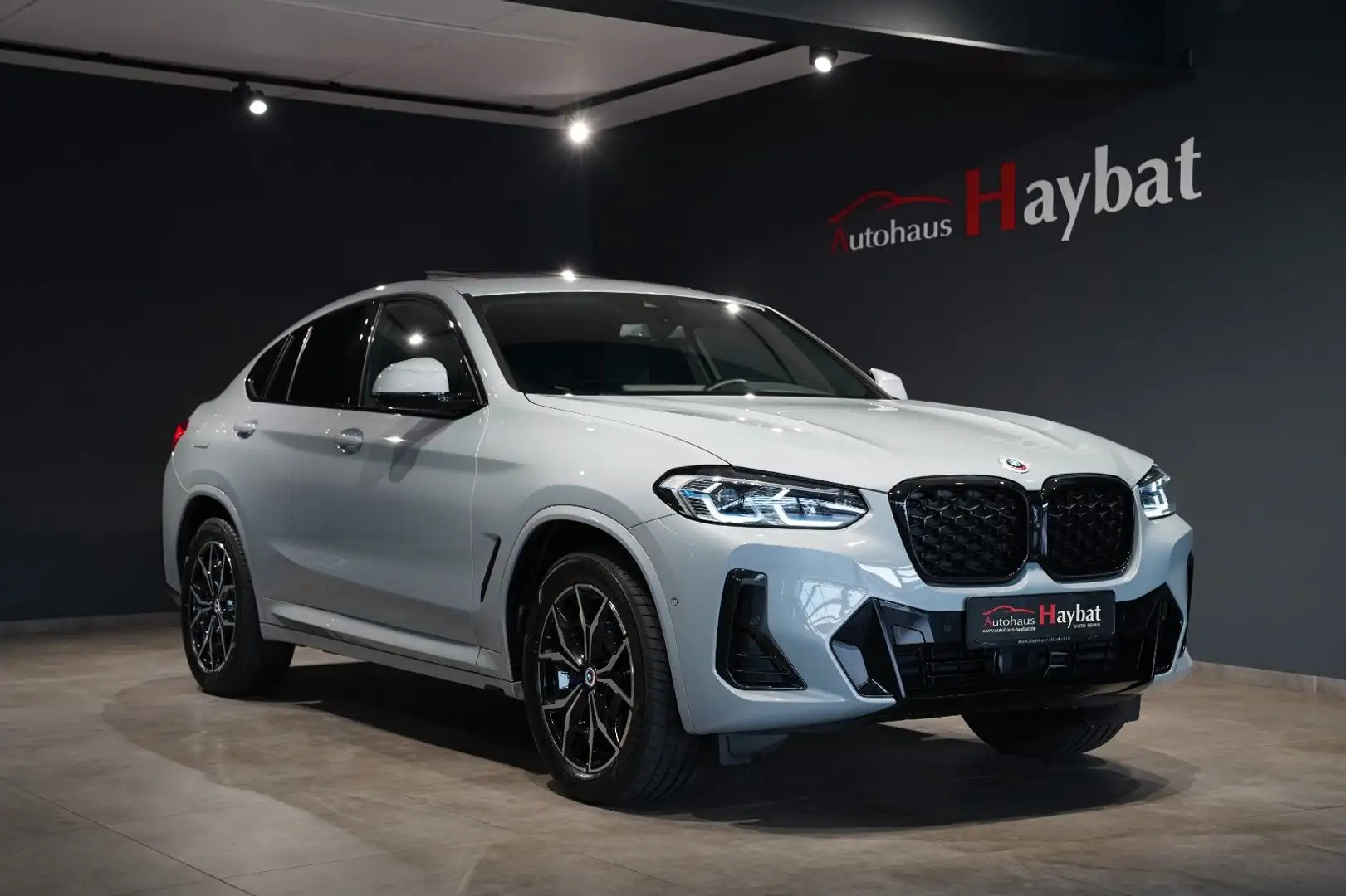BMW X4 30d M Sport LCProf-Laser-Pano-ACC-360-StaHz Grau - 1