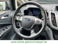 Ford C-Max C-MAX Titanium*RFK/SHZ/AHK/PDC/NAVI* Silber - thumbnail 11