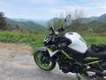 Kawasaki Z 900 MY 2021 Alb - thumbnail 1