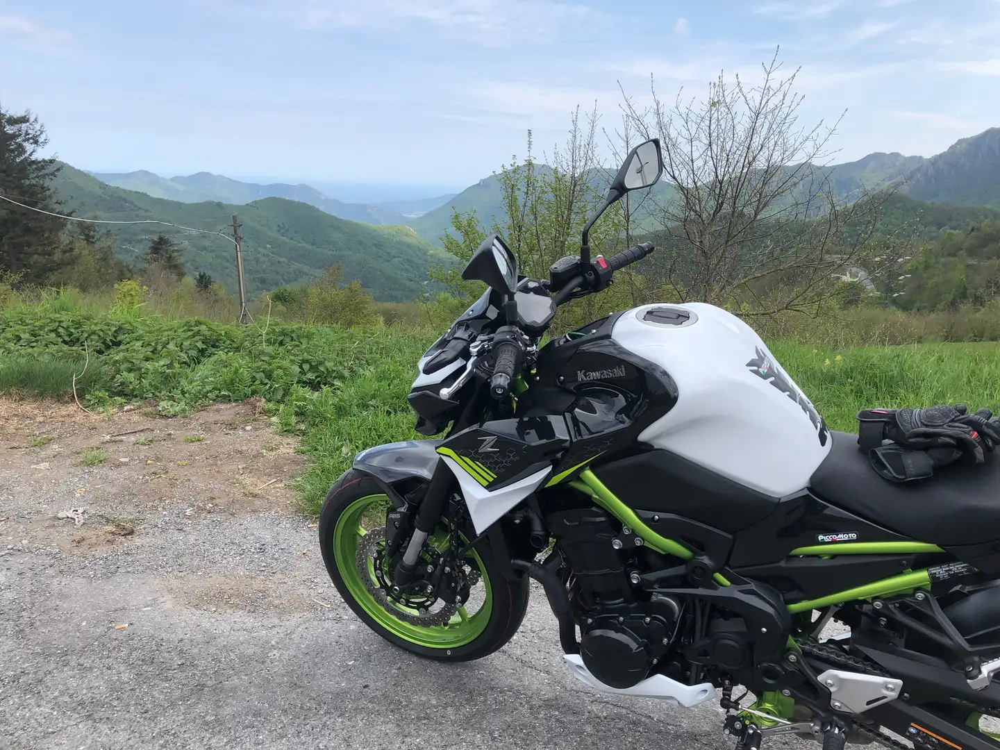 Kawasaki Z 900 MY 2021 Alb - 1