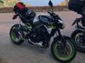 Kawasaki Z 900 MY 2021 Alb - thumbnail 2