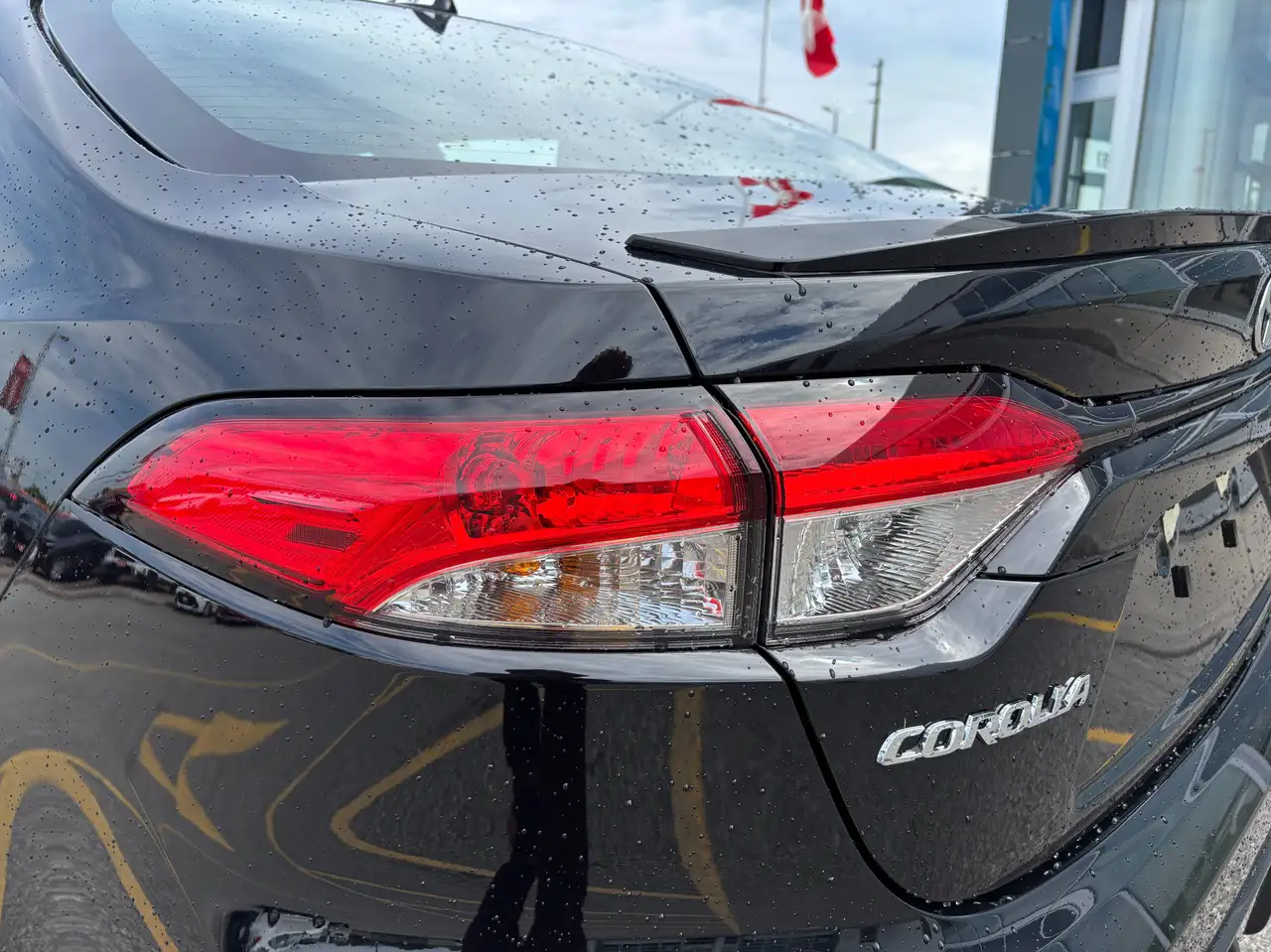 Toyota Corolla снимка Toyota Corolla