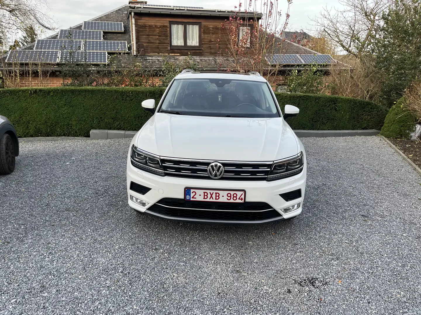Volkswagen Tiguan 2.0 TDI 150 DSG7 4Motion Confortline Business - 2