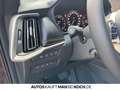 Mazda CX-80 3.3L e-SKYACTIV D 254ps 8AT AWD Homura Navi Rot - thumbnail 24