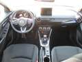 Mazda 2 2023 5HB 1.5L e-SKYACTIV G 90 6MT FWD EXCLUSIVE-LI Grau - thumbnail 10