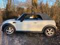 MINI Cooper D Cabrio 8x bereift - Navi - Voll-Leder Weiß - thumbnail 5