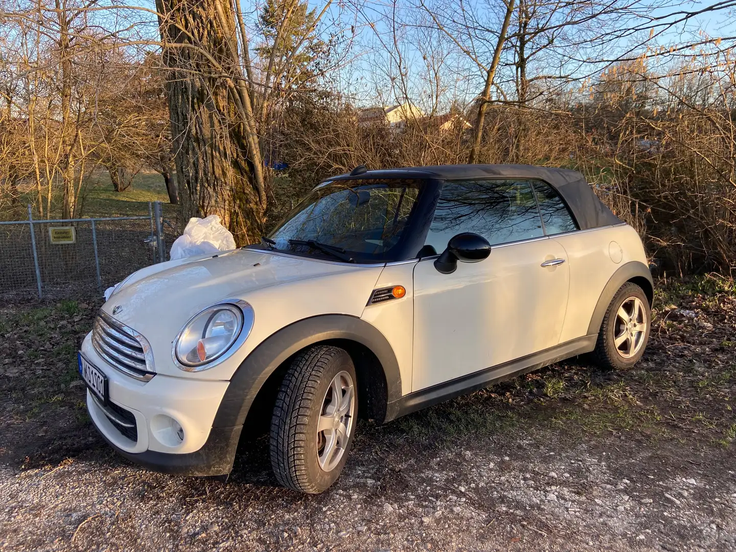 MINI Cooper D Cabrio 8x bereift - Navi - Voll-Leder Weiß - 1