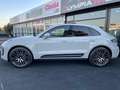 Porsche Macan 2.0 265CV PASM BOSE KAMERA SCARICO 21 TETTO LED Grigio - thumbnail 7