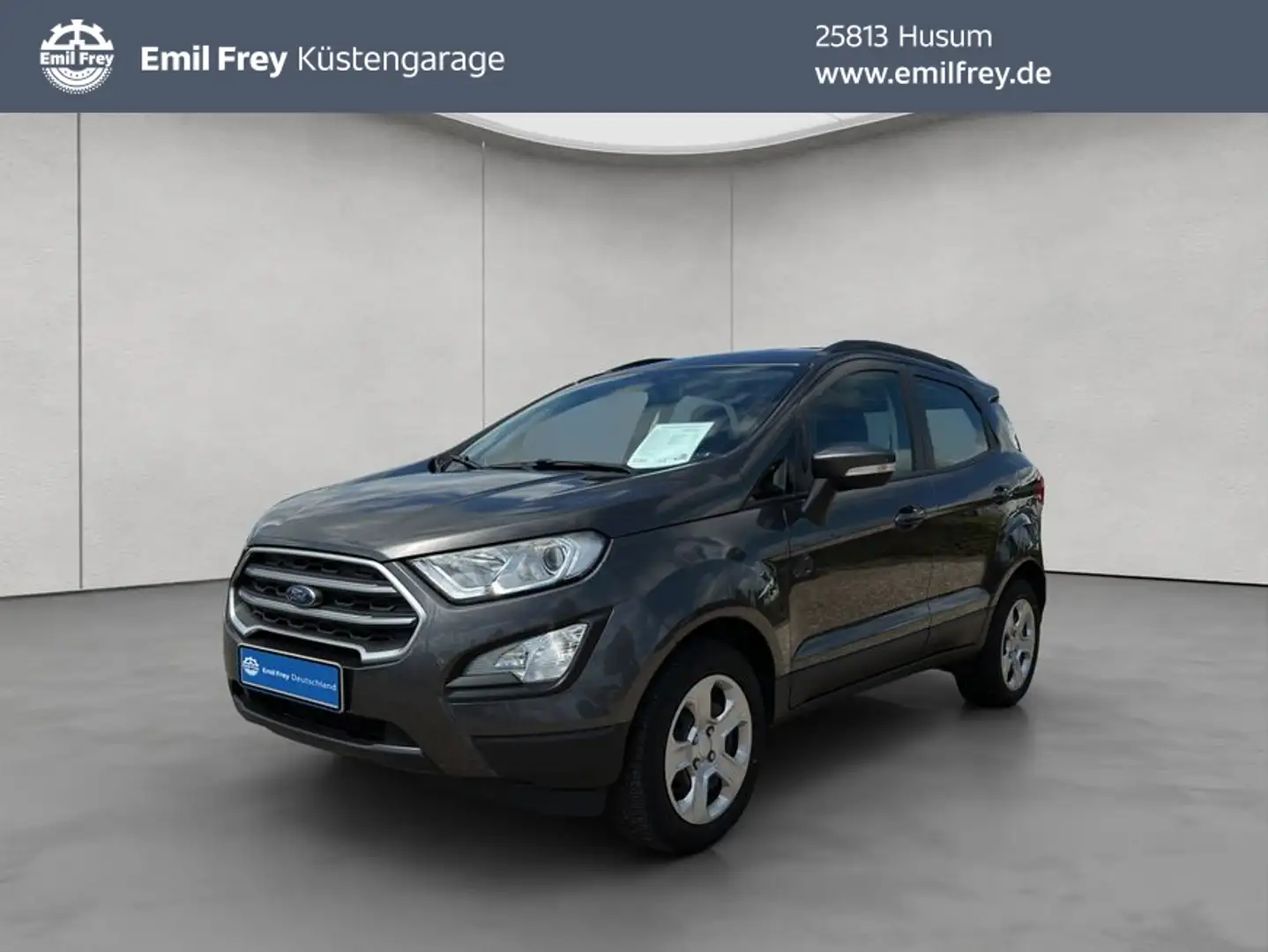 Ford EcoSport ECOSPORT 1.0 EcoBoost TITANIUM GJR, NAVI Gris - 1
