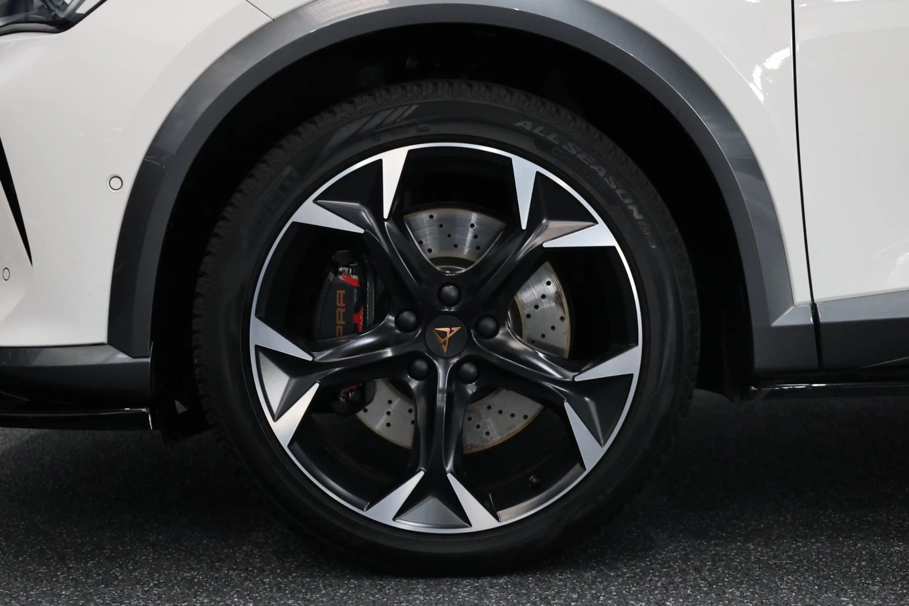 CUPRA Formentor 2.0 TSI 4DRIVE 310+PK MAXTON/LED/VIRTUAL/SFEER/BEA — photo 26