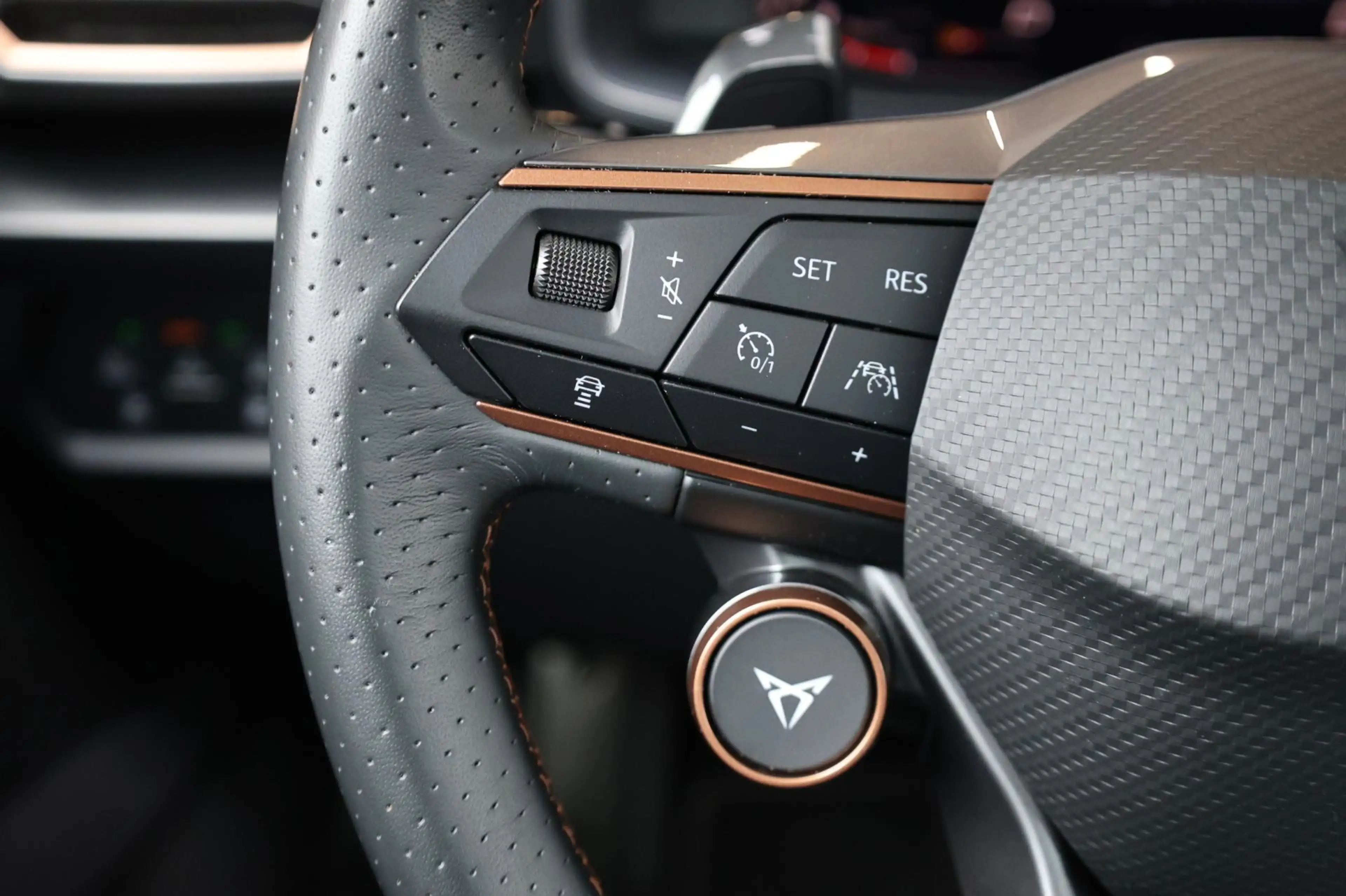 CUPRA Formentor 2.0 TSI 4DRIVE 310+PK MAXTON/LED/VIRTUAL/SFEER/BEA — photo 12
