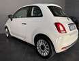 Fiat 500 1.2 easypower Lounge Gpl 69cv TETTO PANORAMICO - thumbnail 6