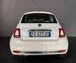 Fiat 500 1.2 easypower Lounge Gpl 69cv TETTO PANORAMICO - thumbnail 5