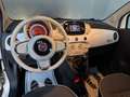 Fiat 500 1.2 easypower Lounge Gpl 69cv TETTO PANORAMICO - thumbnail 7