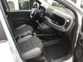 Fiat Panda Easy City Life~Klima~PDC~Elektr.Fenster Grau - thumbnail 11