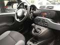 Fiat Panda Easy City Life~Klima~PDC~Elektr.Fenster Grau - thumbnail 10