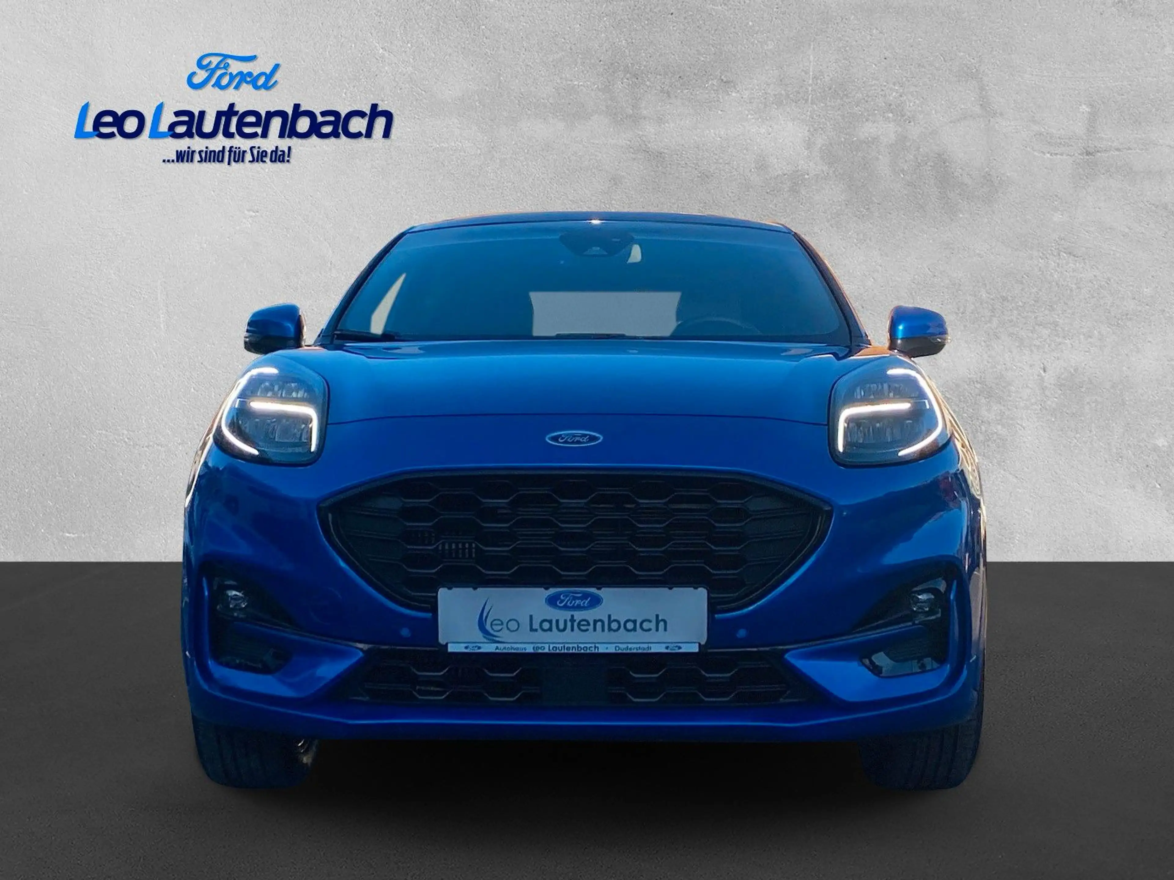 Ford Puma ST-Line X — photo 6