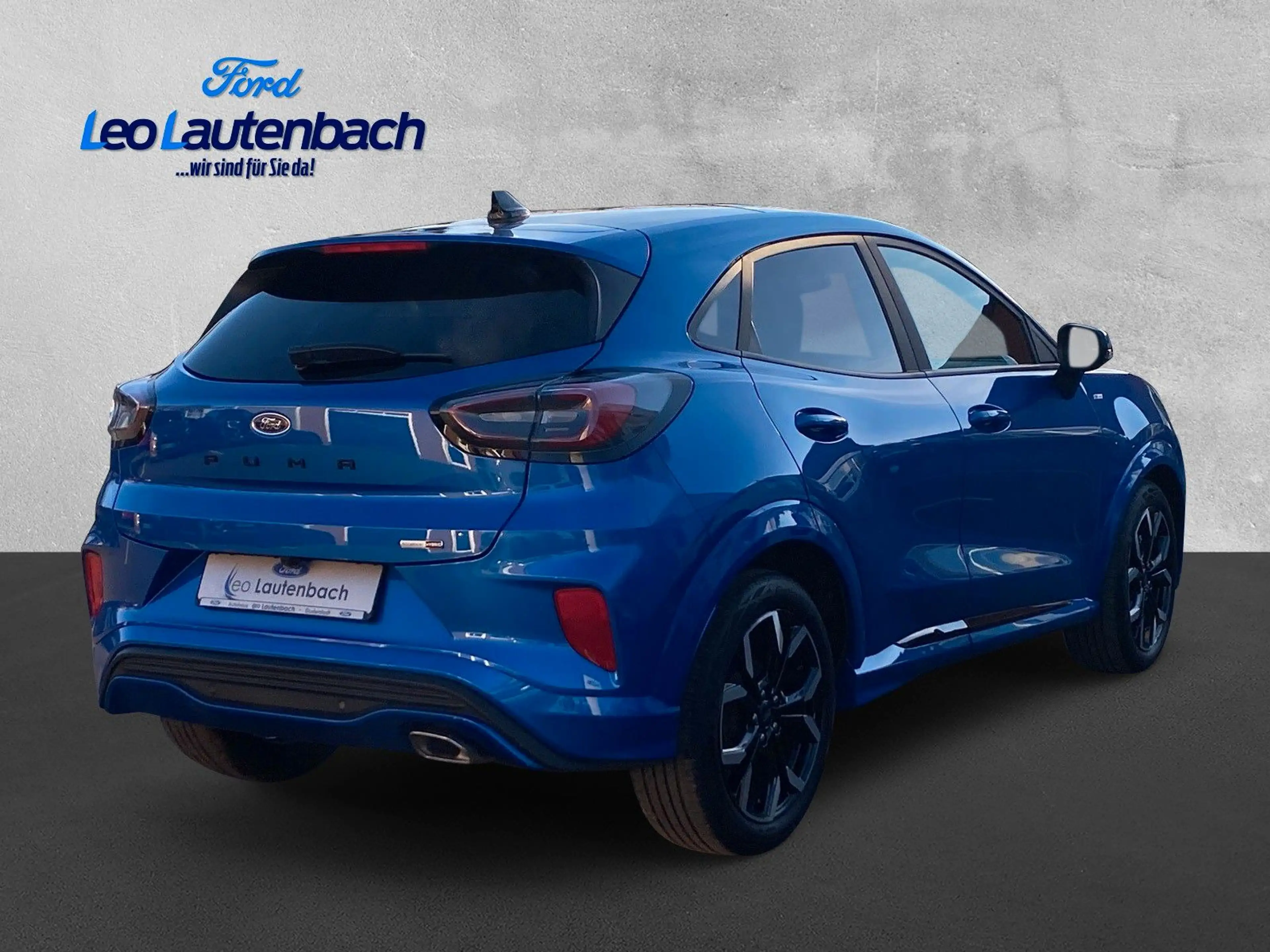 Ford Puma ST-Line X — photo 5