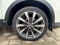 Nissan Qashqai 1.2DIG-T Klima Freisprechanlage Weiß - thumbnail 9