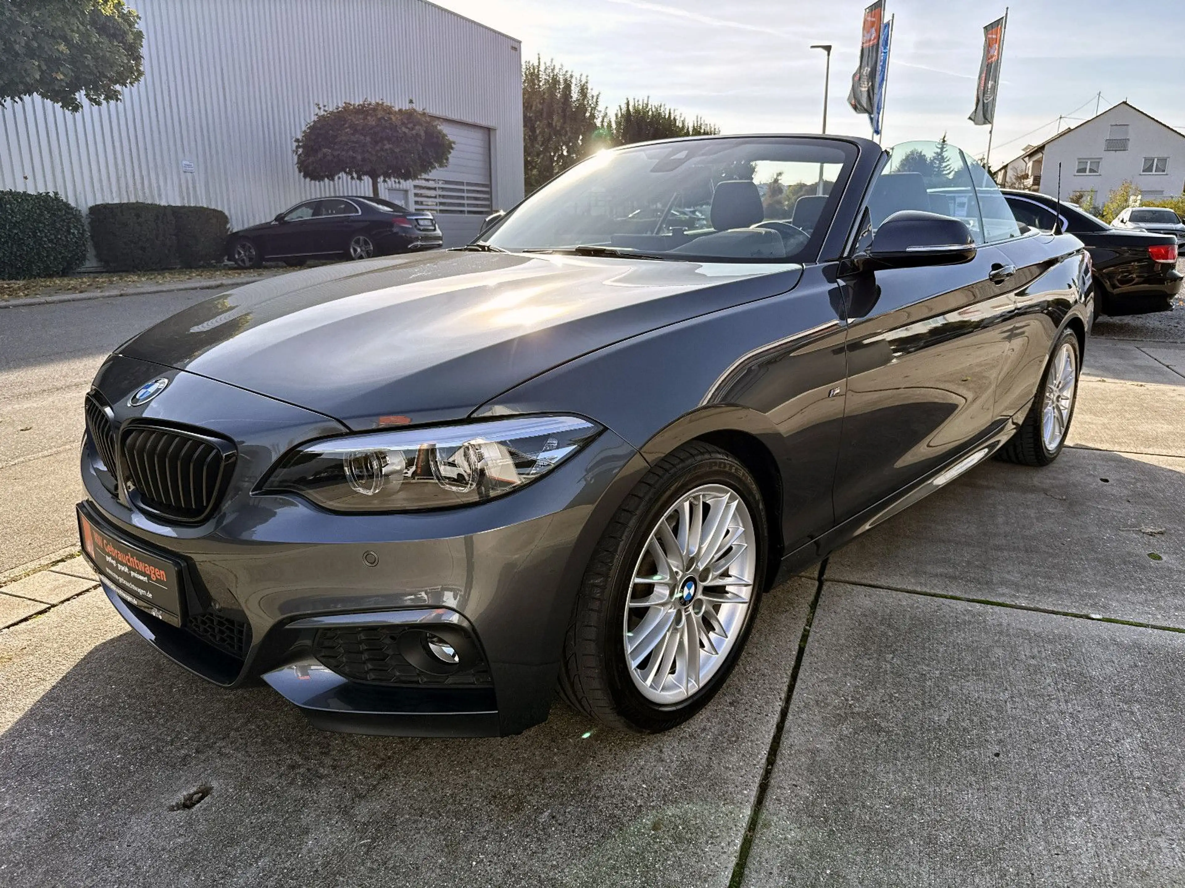 BMW 220 i Cabrio Steptr. M-Sport KAM H&K SHZ LED NAV — photo 6