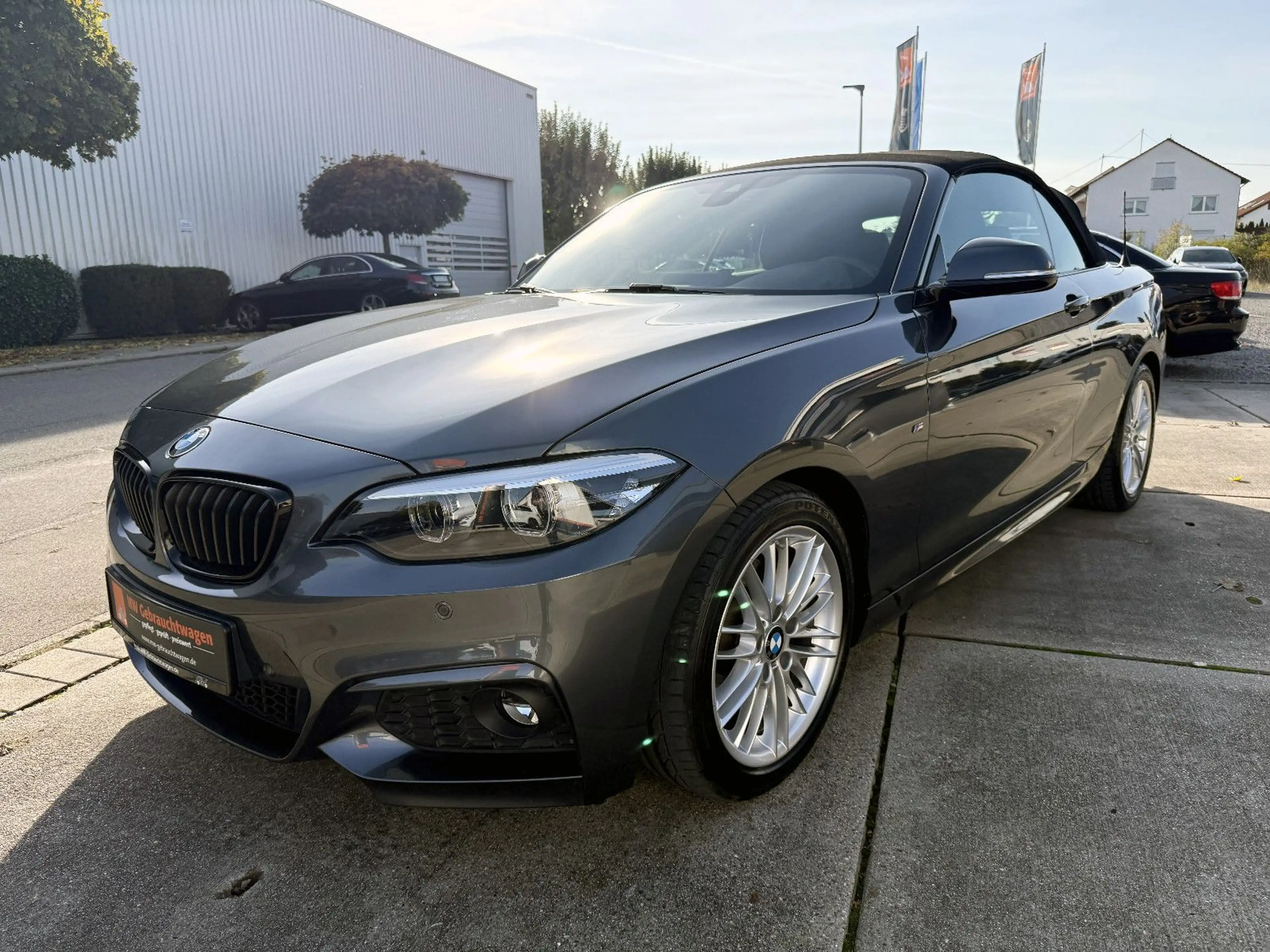 BMW 220 i Cabrio Steptr. M-Sport KAM H&K SHZ LED NAV — photo 7