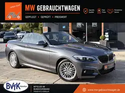 Bmw 220 i Cabrio Steptr. M Sport KAM H&K SHZ LED NAV