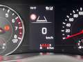 Suzuki Swift 1,2 Hybrid 2WD Shine Weiß - thumbnail 20
