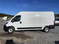 Fiat Ducato Kasten L3H2 2.2 Multijet 103kW (140 PS) 6-Gang ... Weiß - thumbnail 2