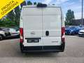 Opel Movano 2.2d 120cv L2H2 Porte270 e telecamera iva e Bianco - thumbnail 6