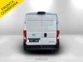 Opel Movano 2.2d 120cv L2H2 Porte270 e telecamera iva e Blanc - thumbnail 6