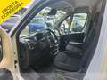 Opel Movano 2.2d 120cv L2H2 Porte270 e telecamera iva e Bianco - thumbnail 9
