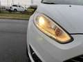 Ford Fiesta Fiesta 1.0 EcoBoost 100 S\u0026amp;S Titanium Weiß - thumbnail 42