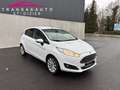 Ford Fiesta Fiesta 1.0 EcoBoost 100 S\u0026amp;S Titanium Weiß - thumbnail 7