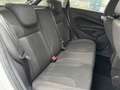Ford Fiesta Fiesta 1.0 EcoBoost 100 S\u0026amp;S Titanium Weiß - thumbnail 15